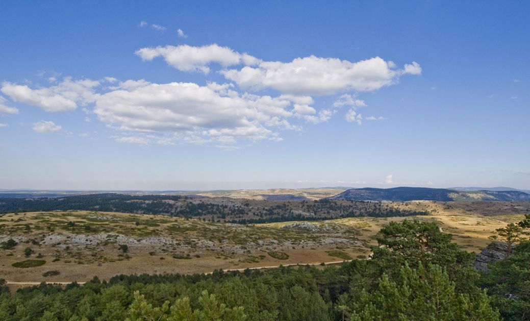 Monumento Natural de Muela Pinilla y del Puntal